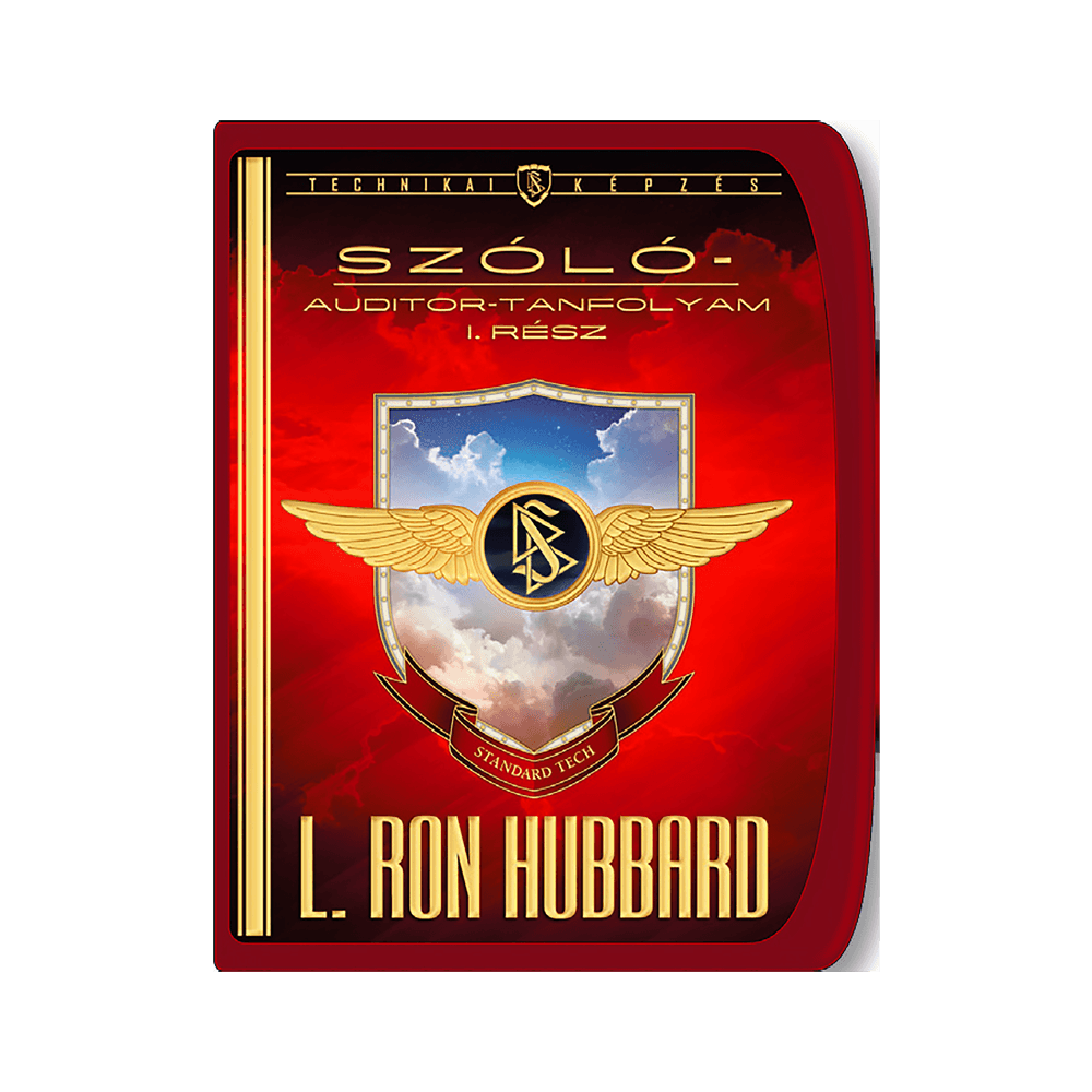 Szólóauditor tanfolyam I. rész anyagai